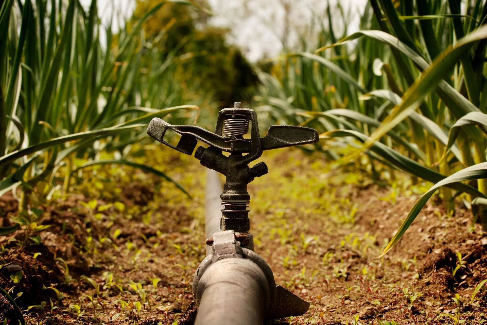 Pipe cleaning services in rochester MN